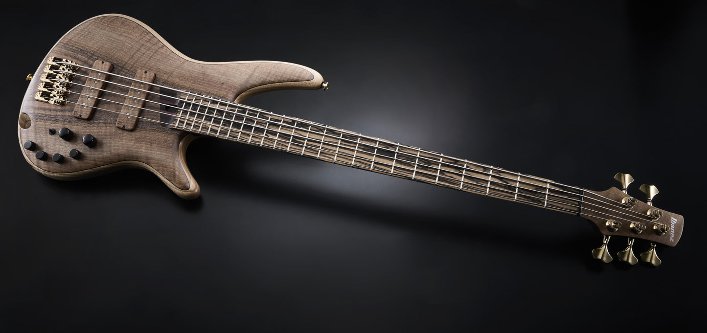 IBANEZ Visions SR Electric Bass 5-String + Case