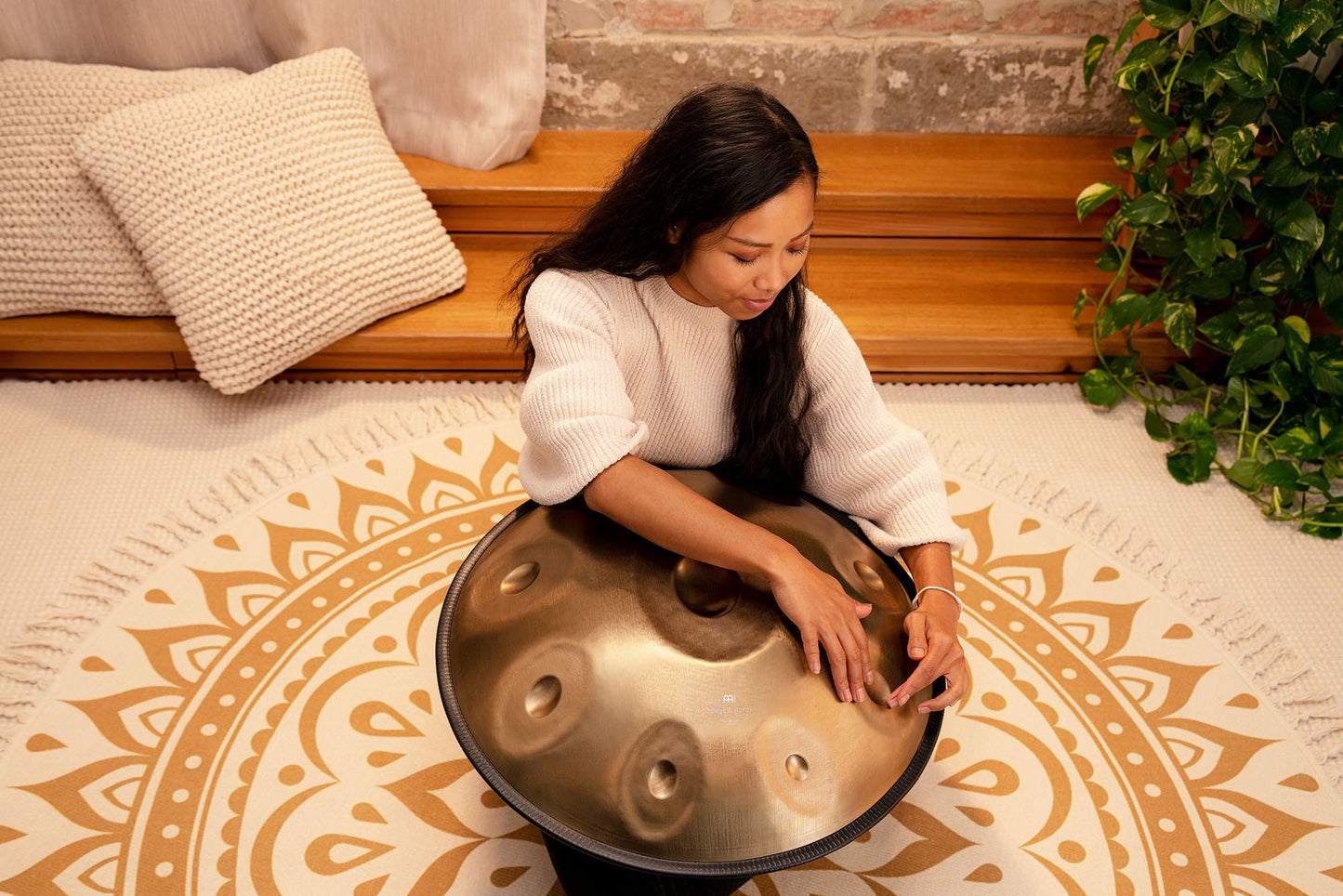 MEINL Sonic Energy Sensory Handpan Stainless Steel D Amara 9 Notes 440 Hz - Vintage Gold