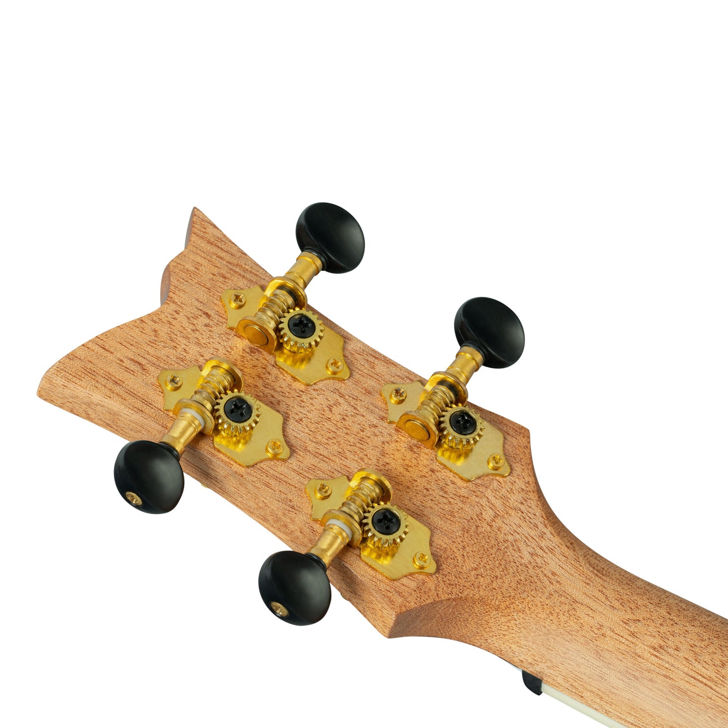 ORTEGA Ghost Series Tenor Ukulele 4 String