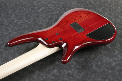 IBANEZ Adam Nitti Signature Electric Bass 5-String - Transparent Wine Red Burst + Premium Softcase