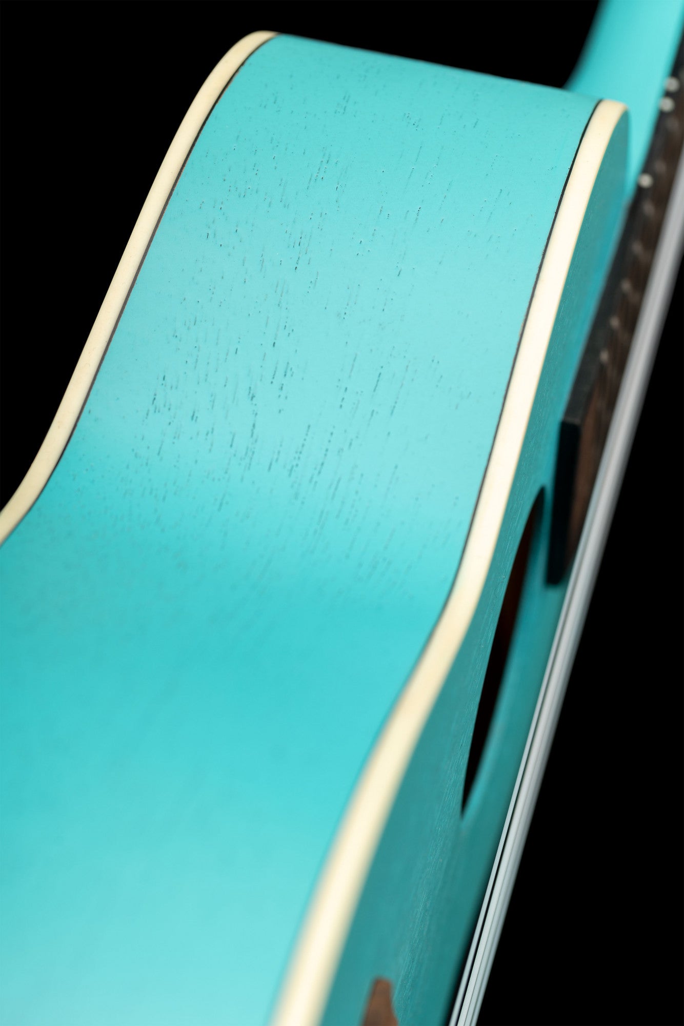 ORTEGA Earth Series Concert Ukulele 4 String - Lagoon