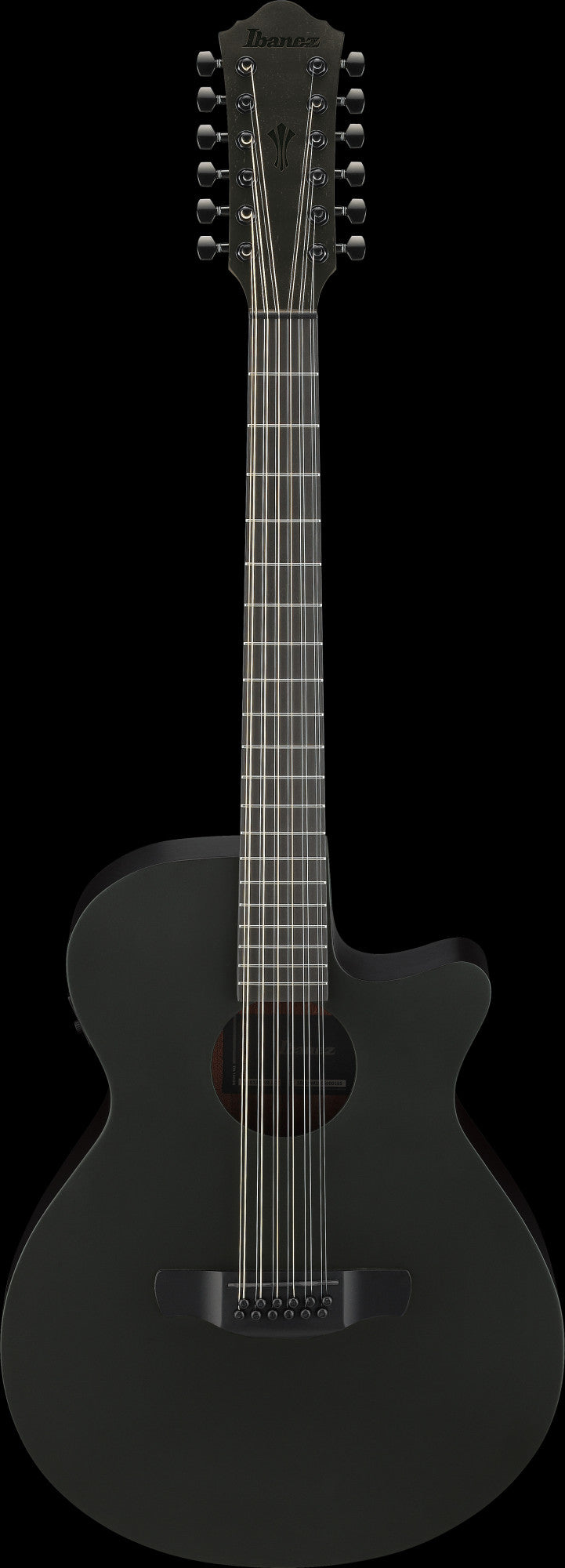 IBANEZ AEG Akustikgitarre 12-String - Black Out