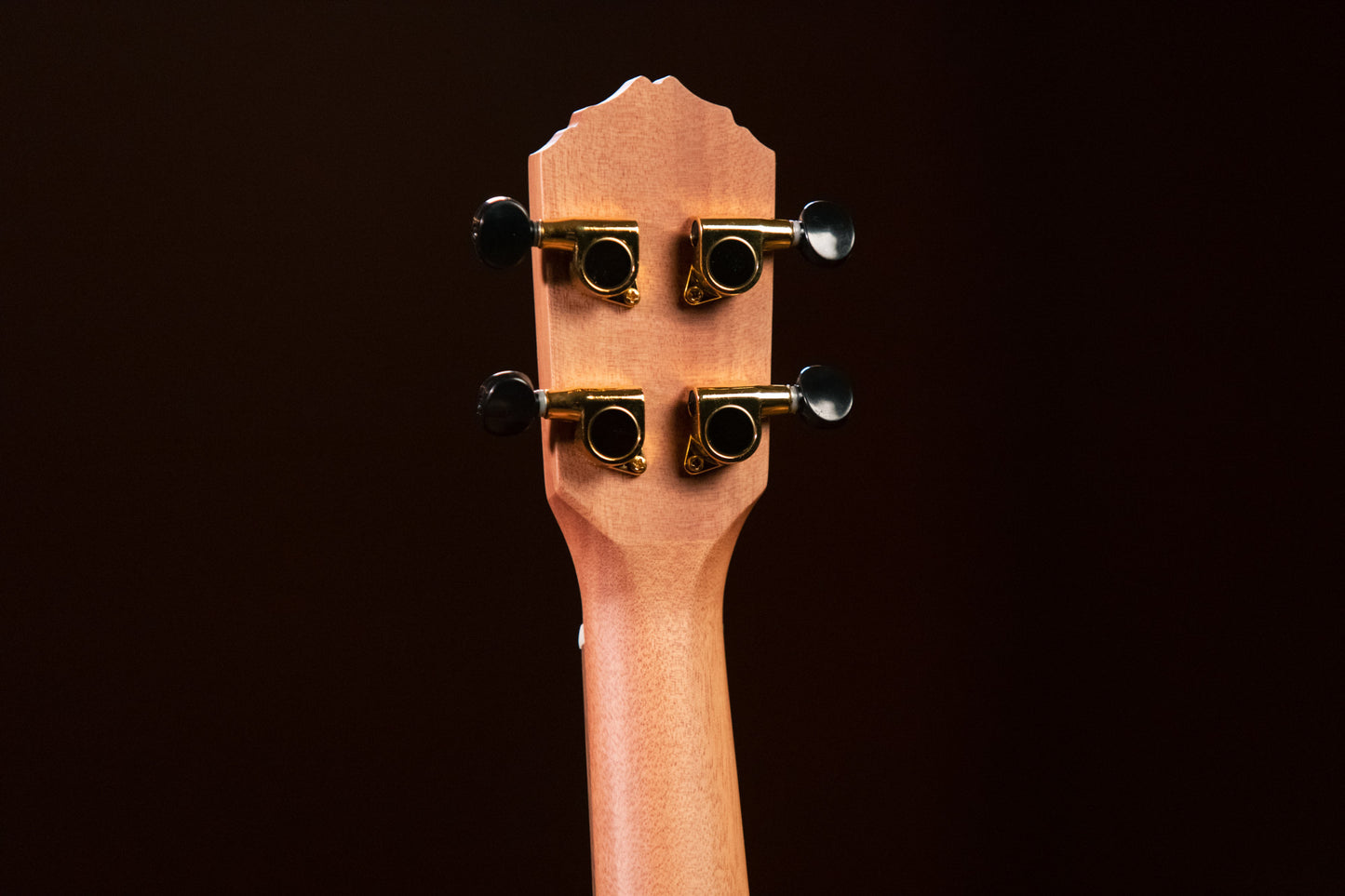 ORTEGA Timber Series Tenor Ukulele 4 String - Solid Cedar / Walnut Natural + Bag