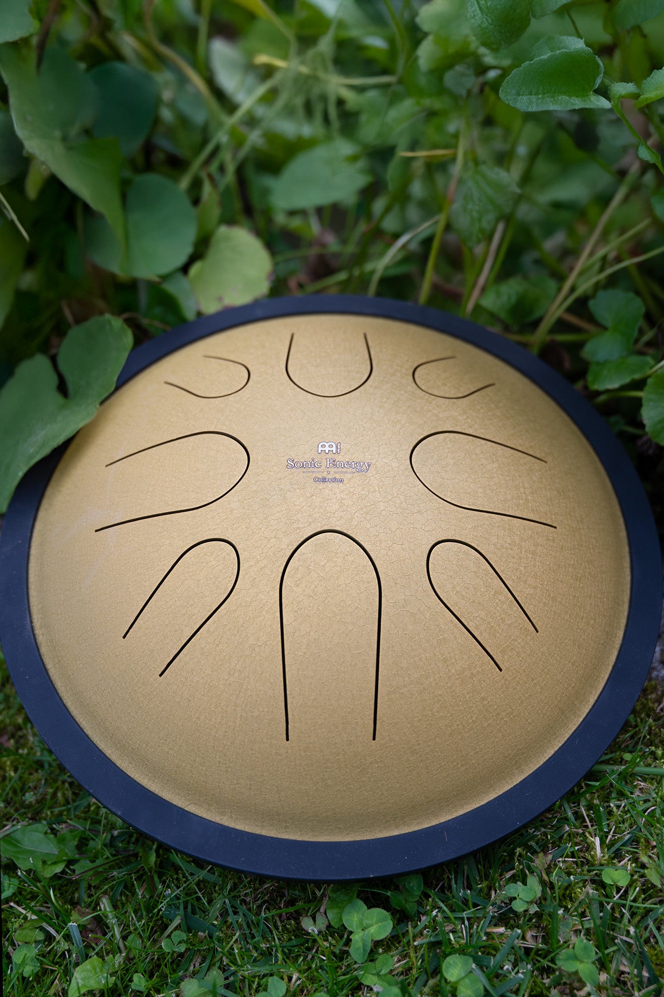 MEINL Sonic Energy 10" Compact Steel Tongue Drum, D Moll, 8 Notes, 432 Hz, Gold