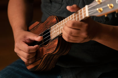 ORTEGA Timber Serie Sopran Ukulele 4 String - Ebony Natural + Bag
