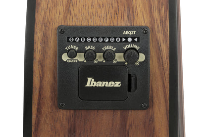 IBANEZ V Acoustic Guitar 6-String - Open Pore Brown