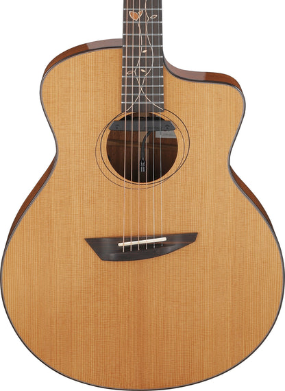 IBANEZ Jon Gomm Signature Akustikgitarre 6-String - Natural + Glasfaser-Koffer