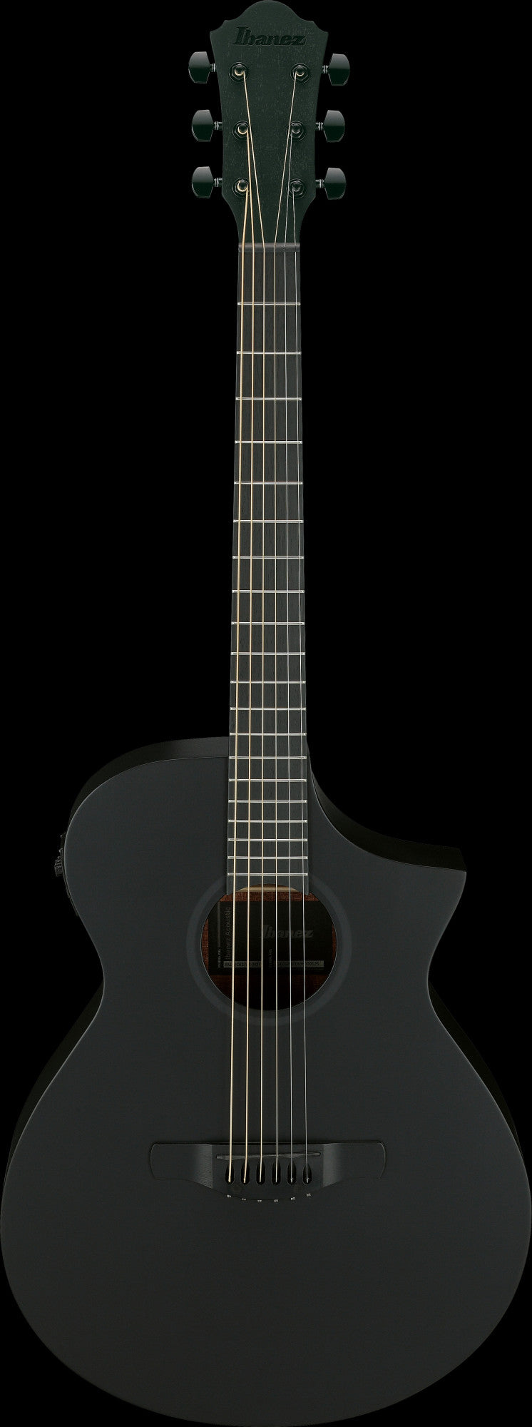 IBANEZ AEWC Acoustic Guitar 6-String - Black Out