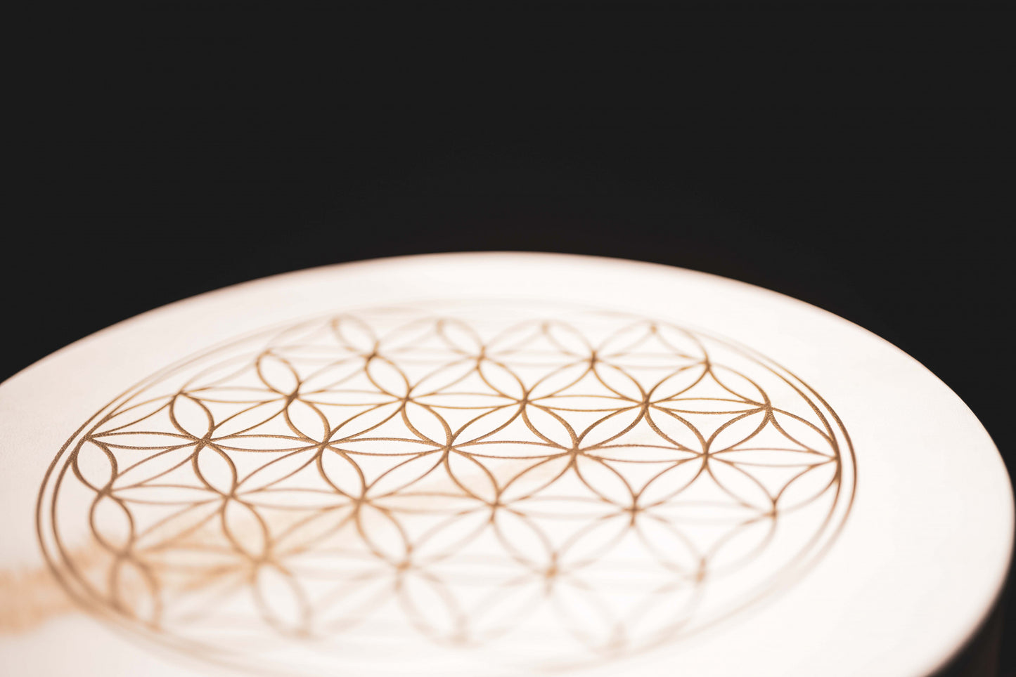 Meinl Sonic Energy Hand Drum 16" - Flower Of Life