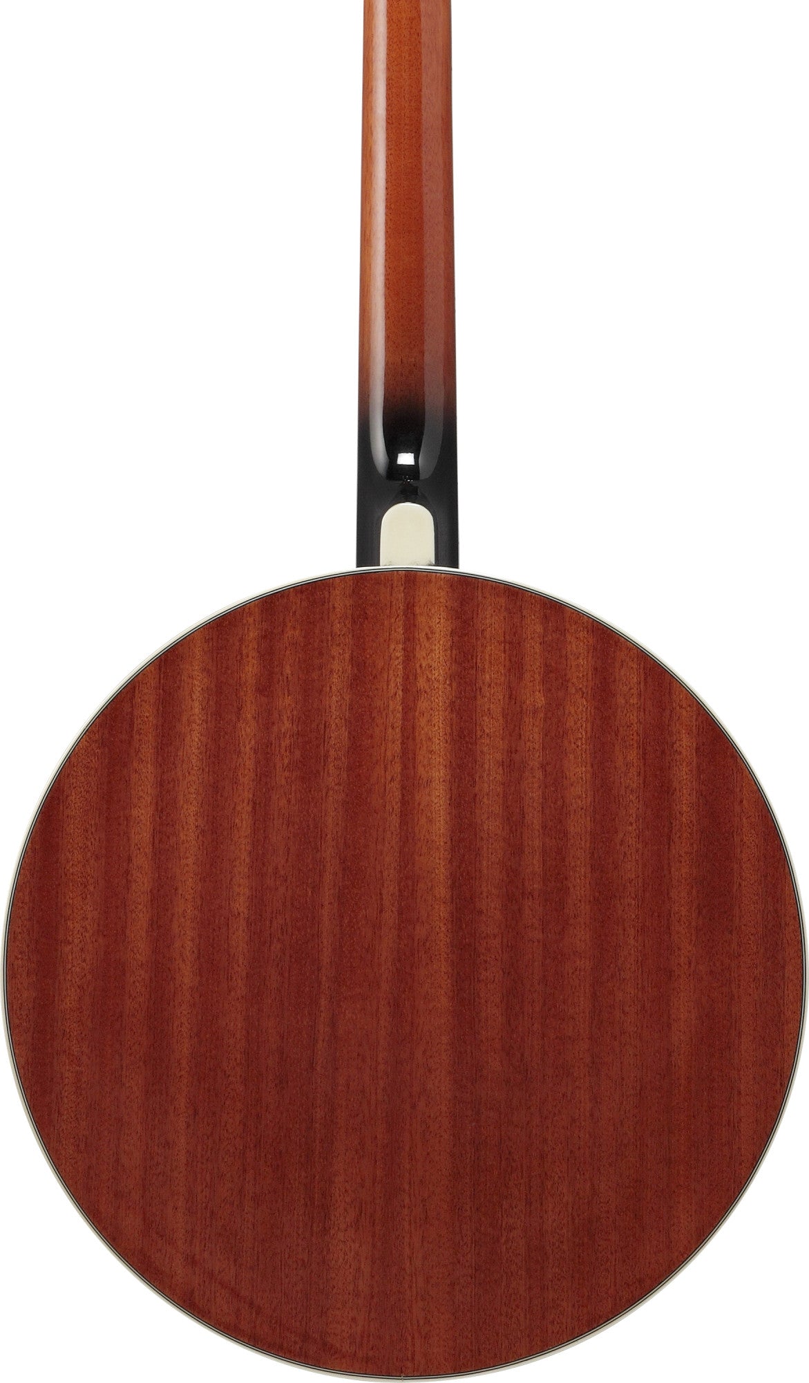 IBANEZ Banjo 5-String