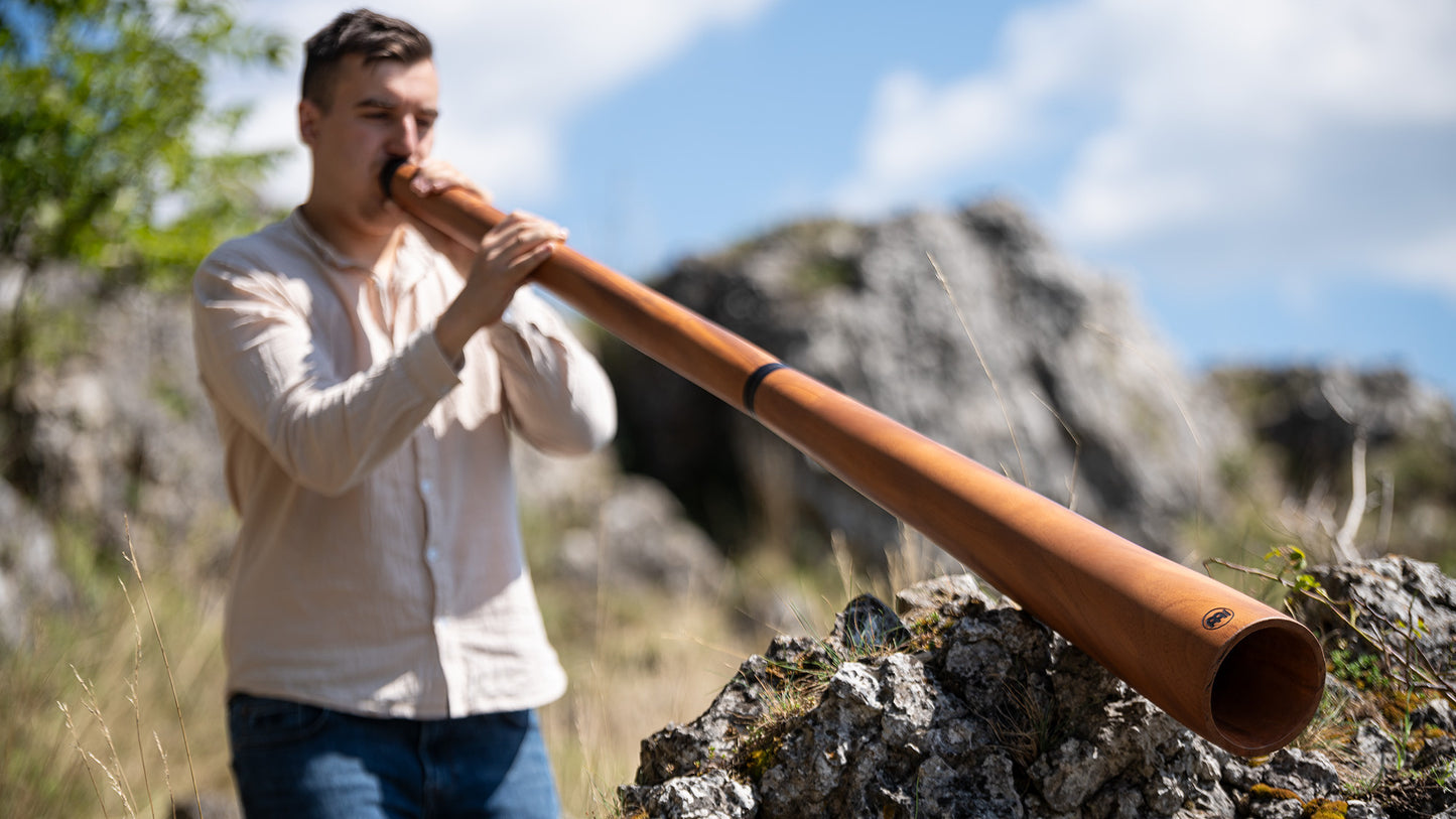 Meinl Sonic Energy Sliced Pro Didgeridoo - D Stimmung - Natur