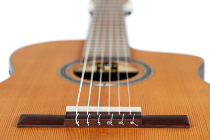 ORTEGA Thermo Series 4/4 Nylon String Guitar 6-String + Pro Gigbag