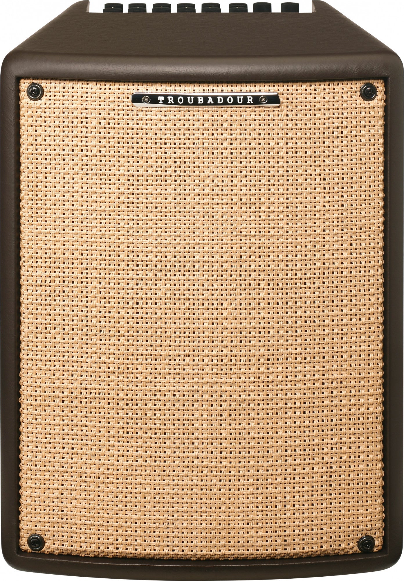 IBANEZ Troubadour Akustikverstärker - 80 Watt