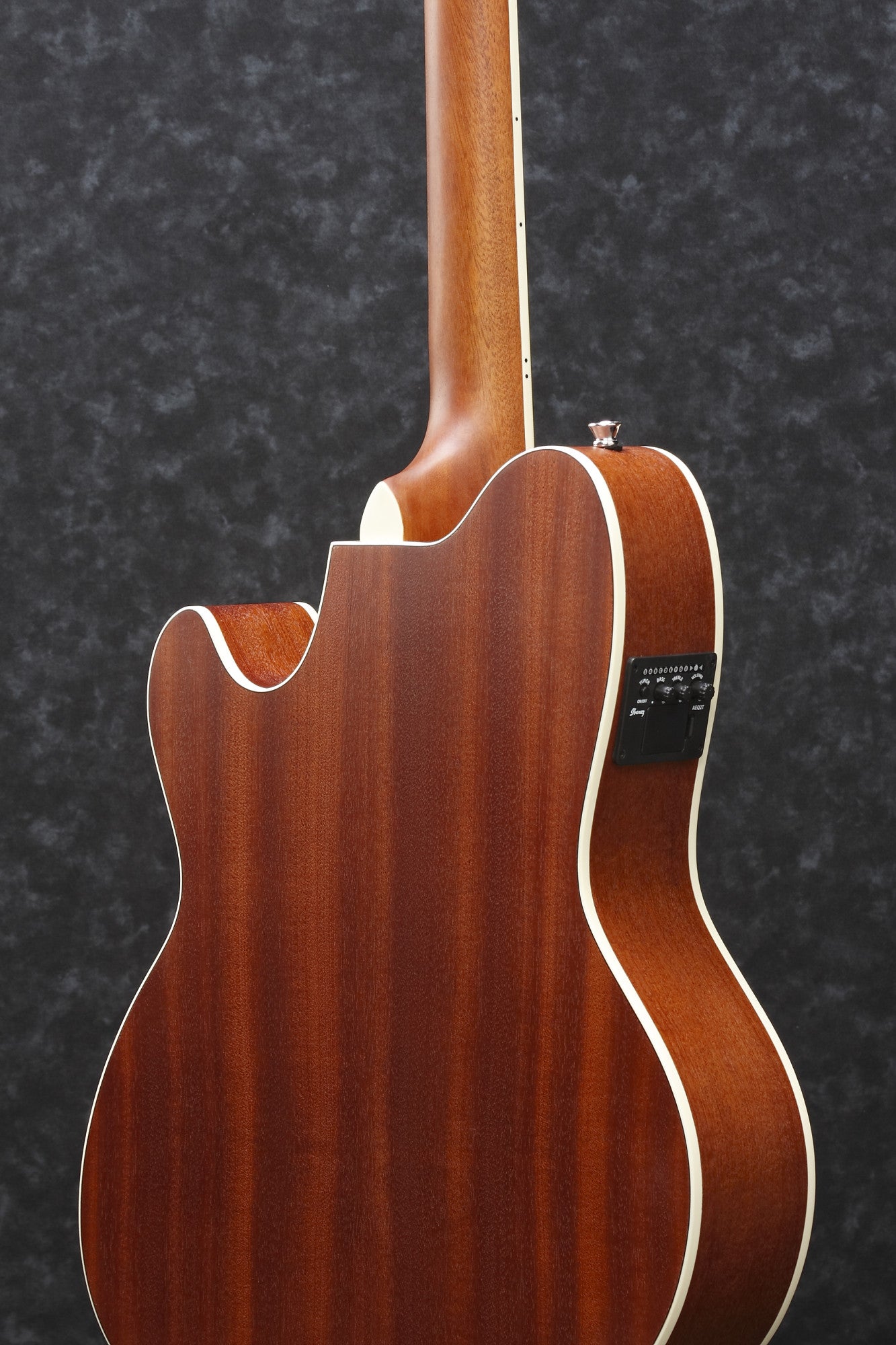 IBANEZ Talman Acoustic Guitar 6-String - Open Pore Natural