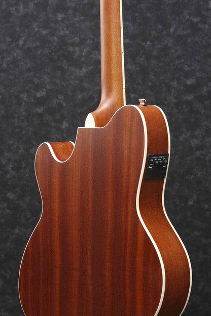 IBANEZ Talman Acoustic Guitar 6-String - Open Pore Natural