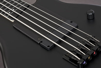 IBANEZ Gary Willis Signature Electric Bass 5-String Fretless - Black Flat