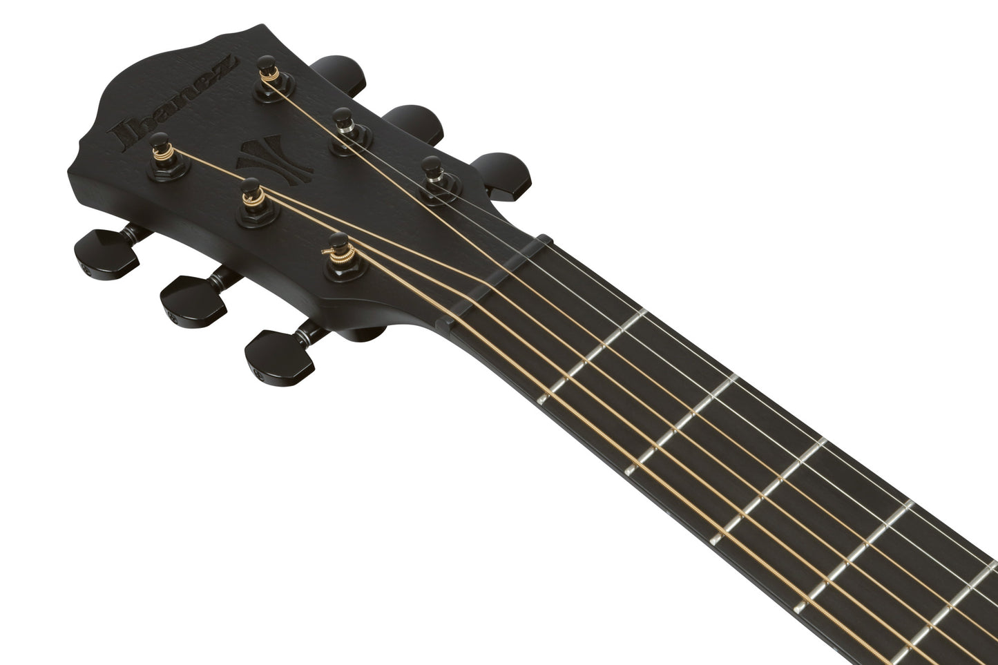 IBANEZ AEG Acoustic Guitar 6-String - Black Out