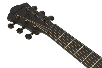 IBANEZ AEG Acoustic Guitar 6-String - Black Out