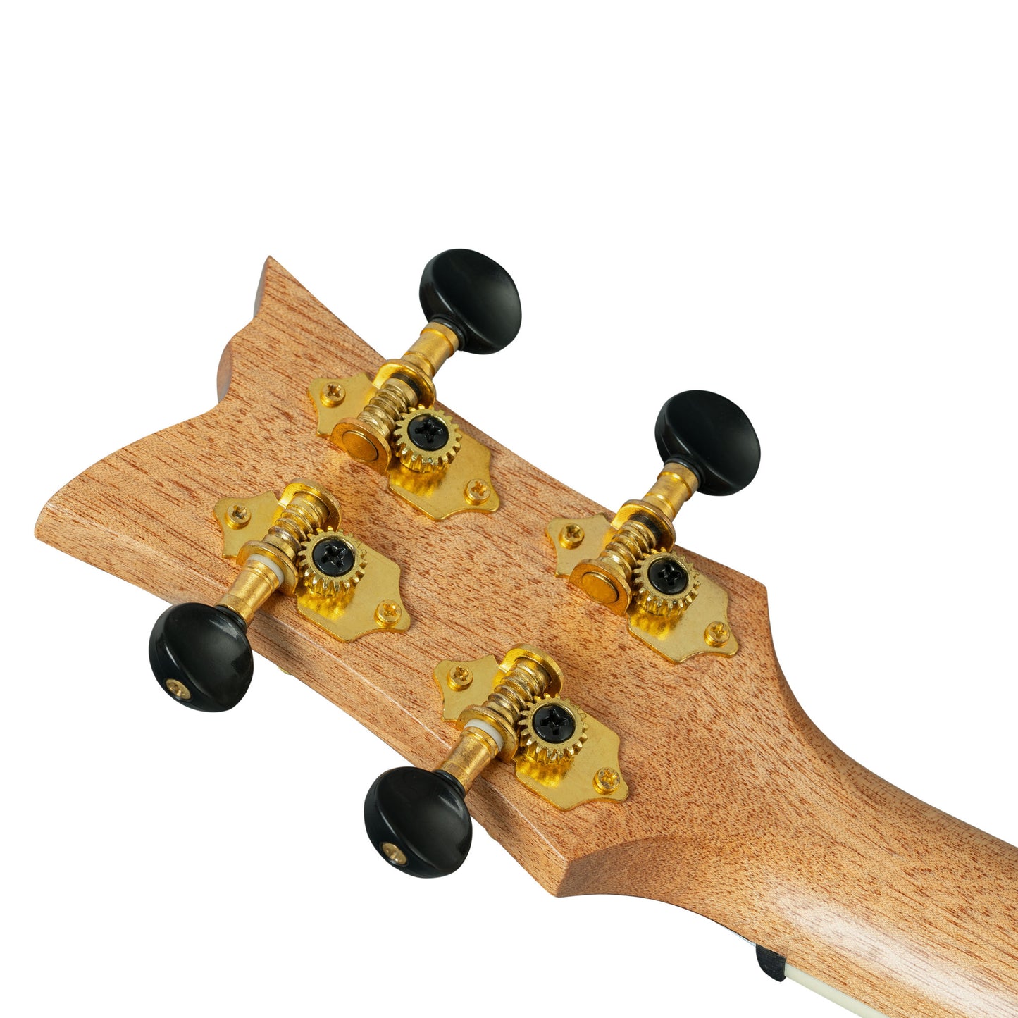 ORTEGA Ghost Series Tenor Ukulele 4 String