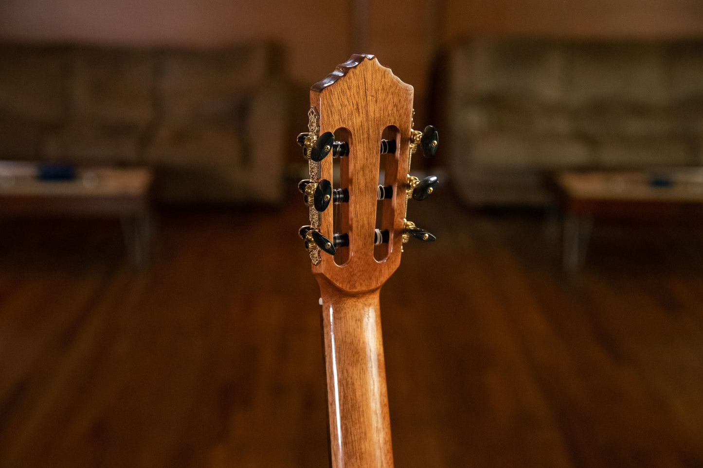 ORTEGA Performer Series 4/4 Thinline Konzertgitarre 6-String - Natural + Gigbag