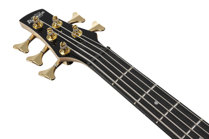 IBANEZ GIO SR Electric Bass 5-String - Transparent Marine Burst