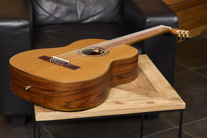 ORTEGA Thermo Series 4/4 Nylon String Guitar 6-String + Pro Gigbag