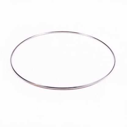 MEINL Percussion rim for Pandeiro PA12CN-M - 12" chrome
