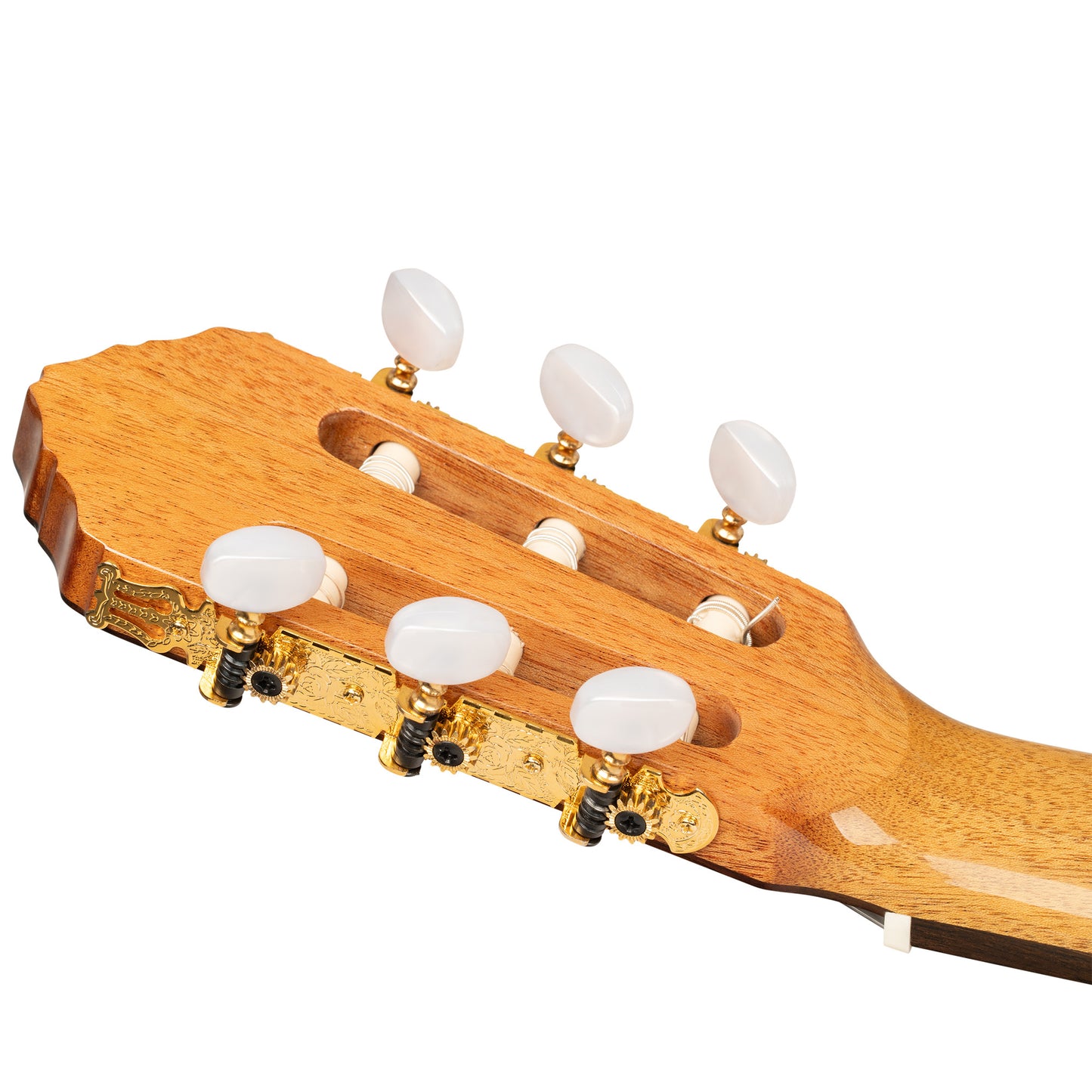 ORTEGA Traditional Series 4/4 Nylon String Guitar 6-String + Pro Gigbag