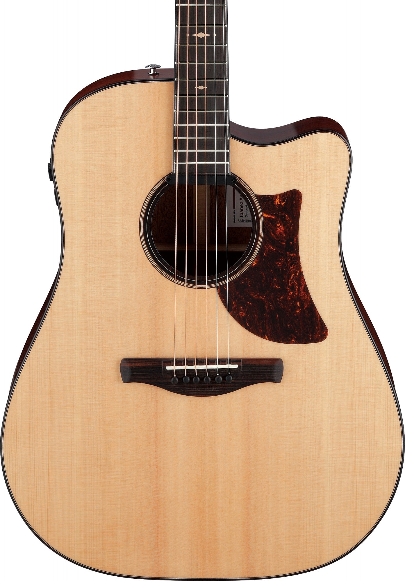 IBANEZ Platinum Collection Acoustic Guitar 6 String - Natural Low Gloss + Case