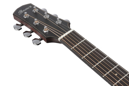 IBANEZ Advanced Acoustic, Platinum Collection 6-Str Natural Low Gloss Auditorium Body
