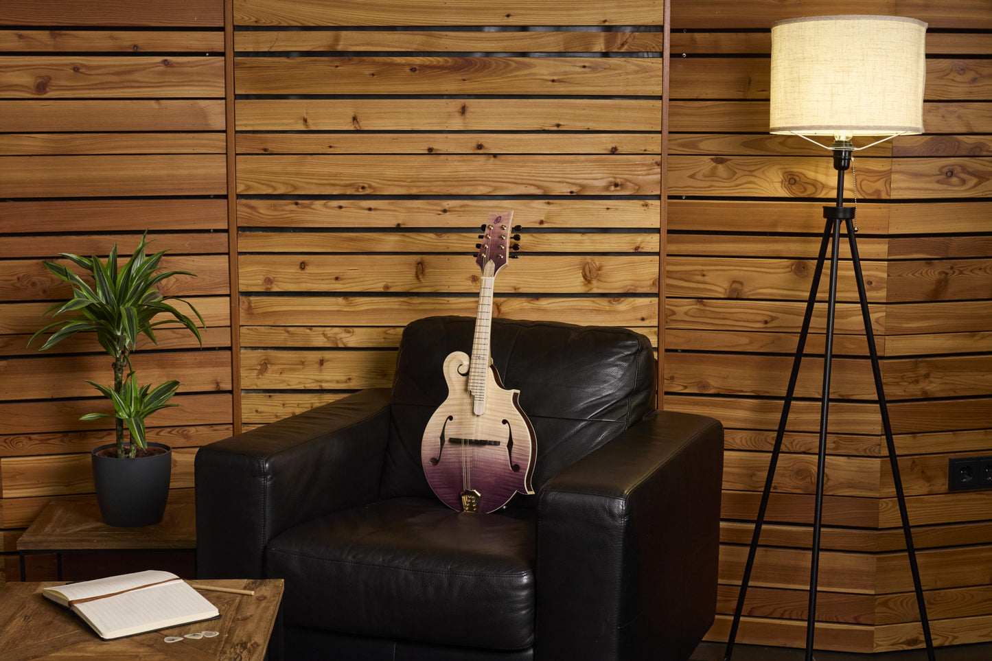 ORTEGA Americana Series F-Style Mandolin + Croco Leather Case