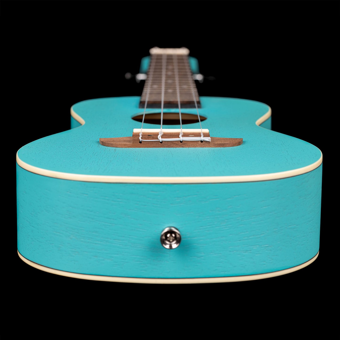 ORTEGA Earth Series Concert Ukulele 4 String - Lagoon