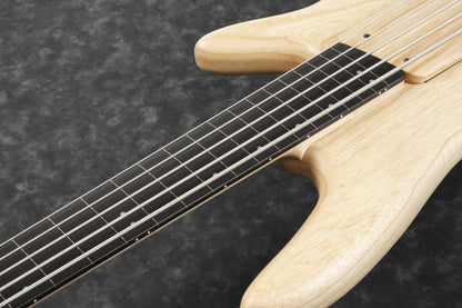 IBANEZ Gary Willis Signature E-Bass 5-String Fretless - Natural Flat + Koffer M20SR