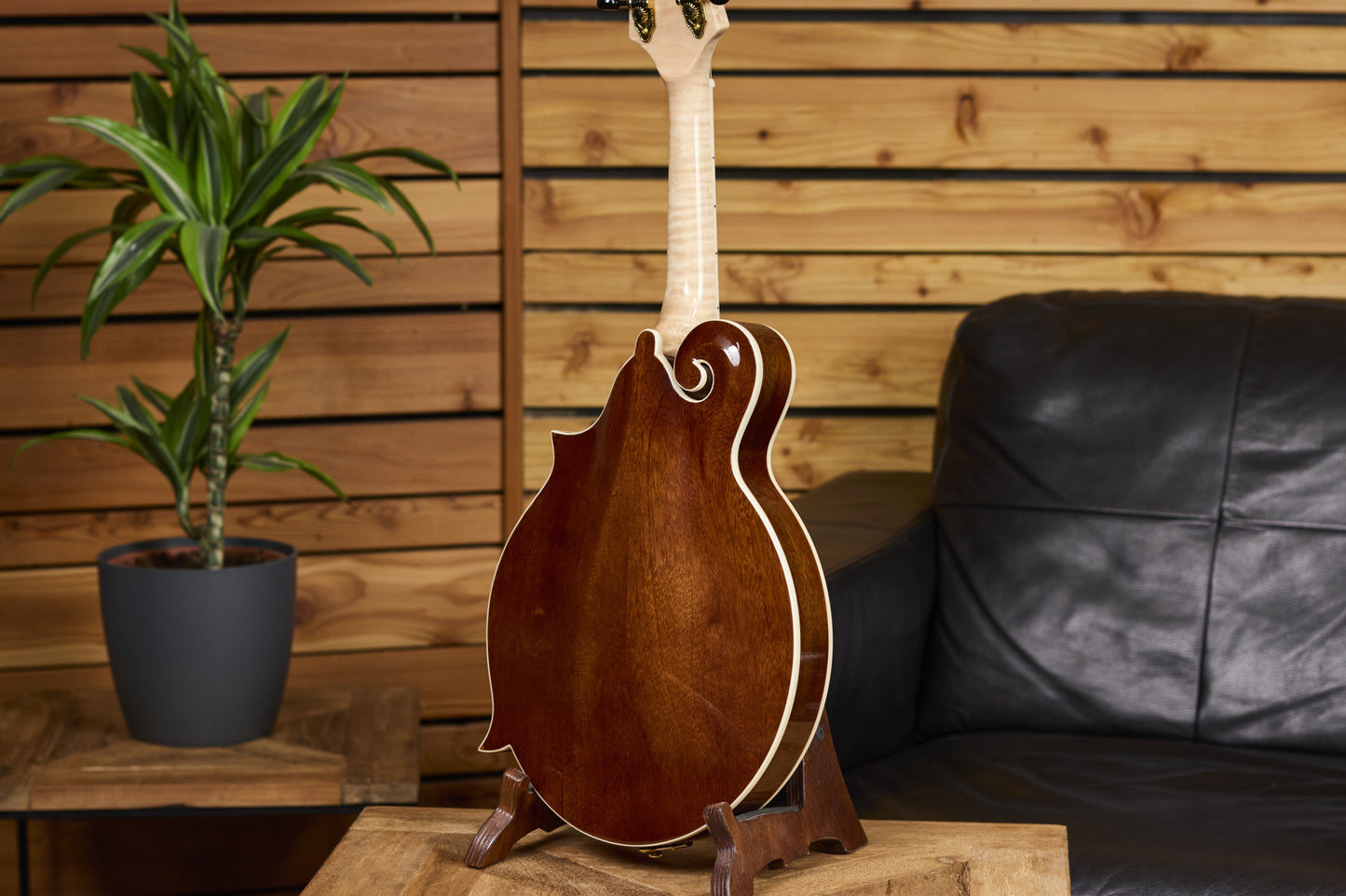 ORTEGA Americana Series F-Style Mandoline + Croco Leder Koffer
