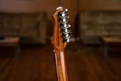 ORTEGA Performer Series 4/4 Konzertgitarre 6-String - Sunburst + Gigbag