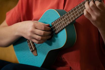 ORTEGA Earth Series Concert Ukulele 4 String - Lagoon
