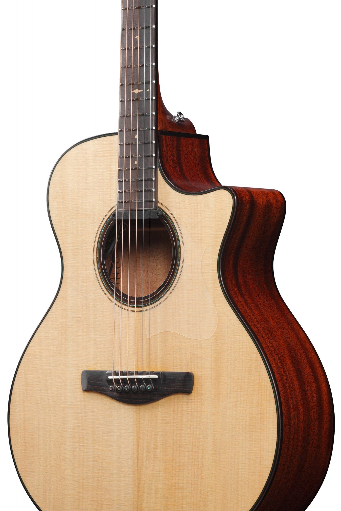 IBANEZ Platinum Collection Acoustic Guitar 6 String - Natural Low Gloss + Case