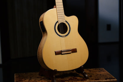 ORTEGA Thomas Zwijsen Signature Konzertgitarre 6-String + Softcase