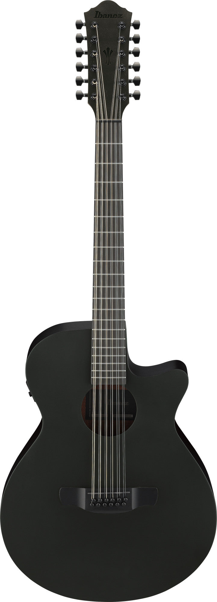 IBANEZ AEG Akustikgitarre 12-String - Black Out