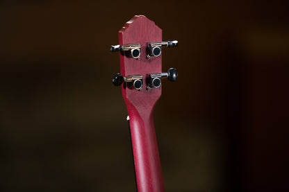 ORTEGA Earth Series Concert Ukulele 4 String - Raspberry Red