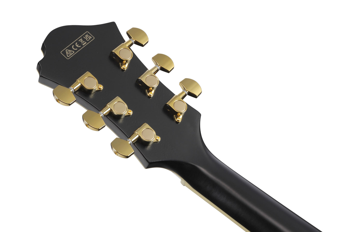 IBANEZ Pat Metheny Signature Hollow Body Guitar 6-String - Black Low Gloss + Case
