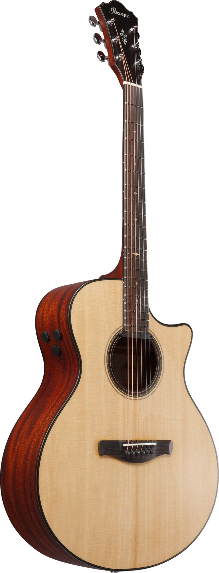 IBANEZ Platinum Collection Acoustic Guitar 6 String - Natural Low Gloss + Case
