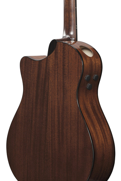 IBANEZ Advanced Acoustic, Platinum Collection 6-Str Natural High Gloss Auditorium Body