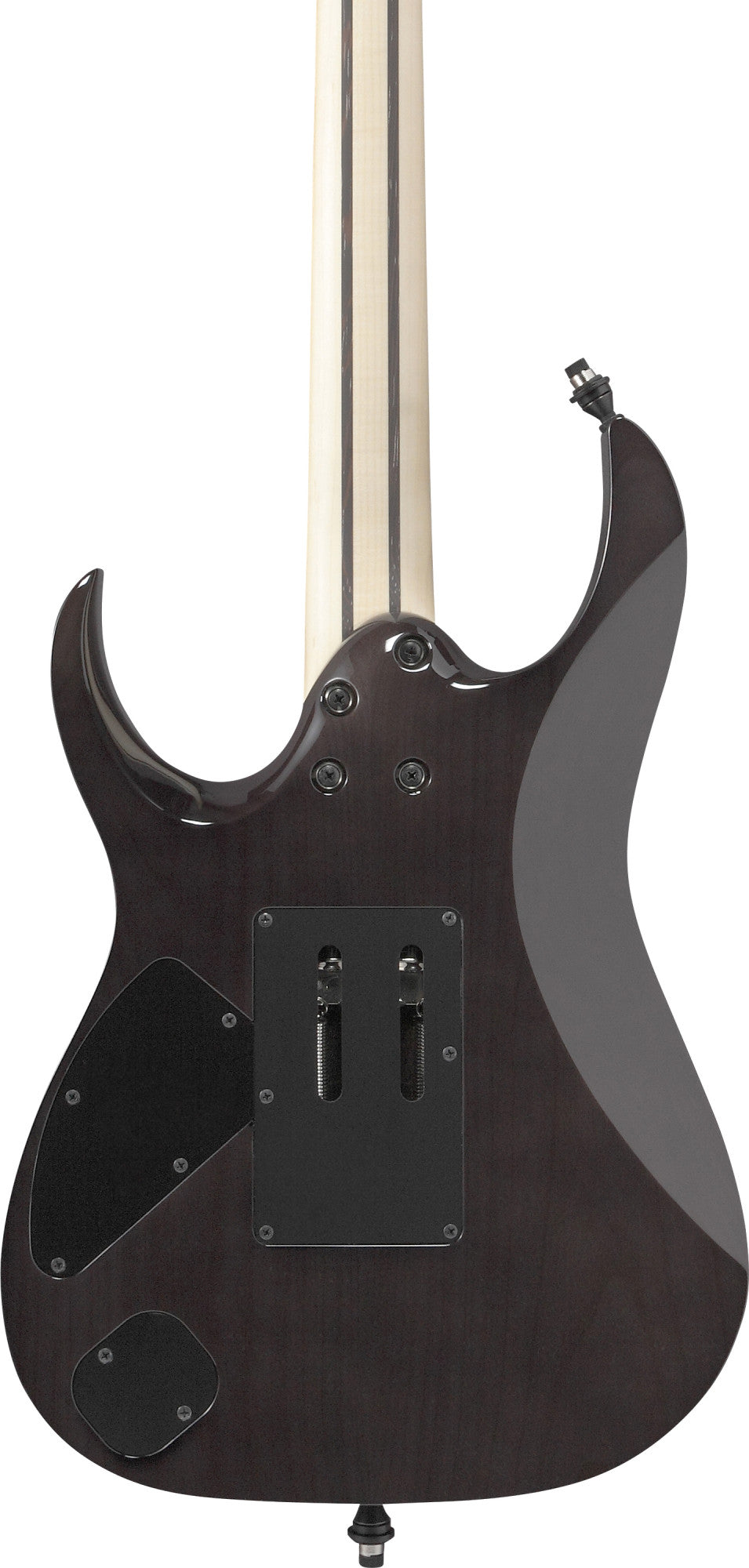 IBANEZ j.custom, Axe Design Lab RG E-Gitarre 6-String - Black Rutile + Koffer