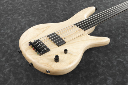 IBANEZ Gary Willis Signature E-Bass 5-String Fretless - Natural Flat + Koffer M20SR