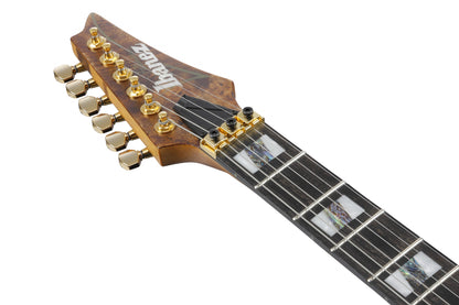IBANEZ Premium RGT E-Gitarre 6-String - Antique Brown Stained + Gigbag