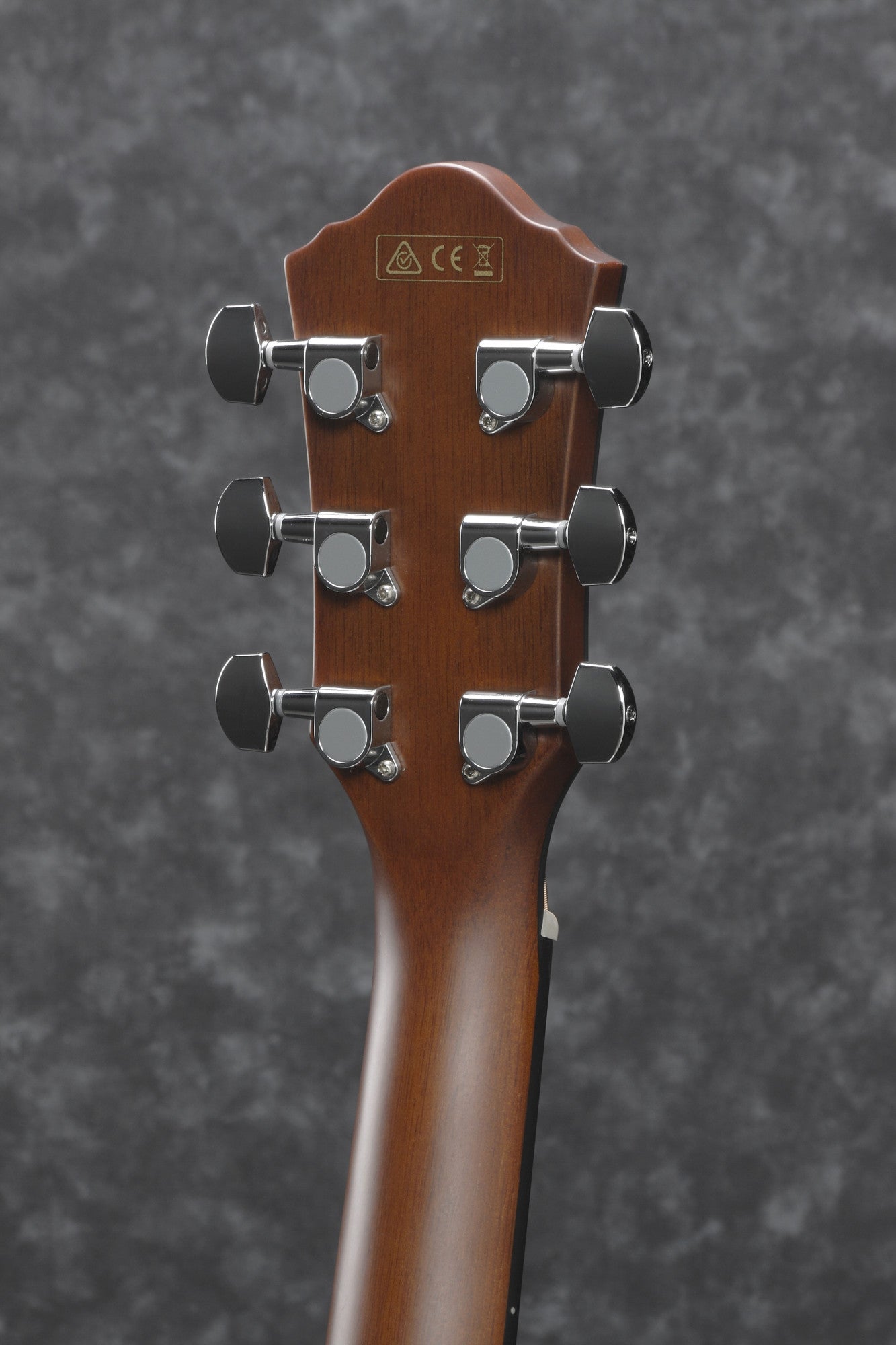 IBANEZ AEG Acoustic Guitar 6-String - Transparent Charcoal Burst