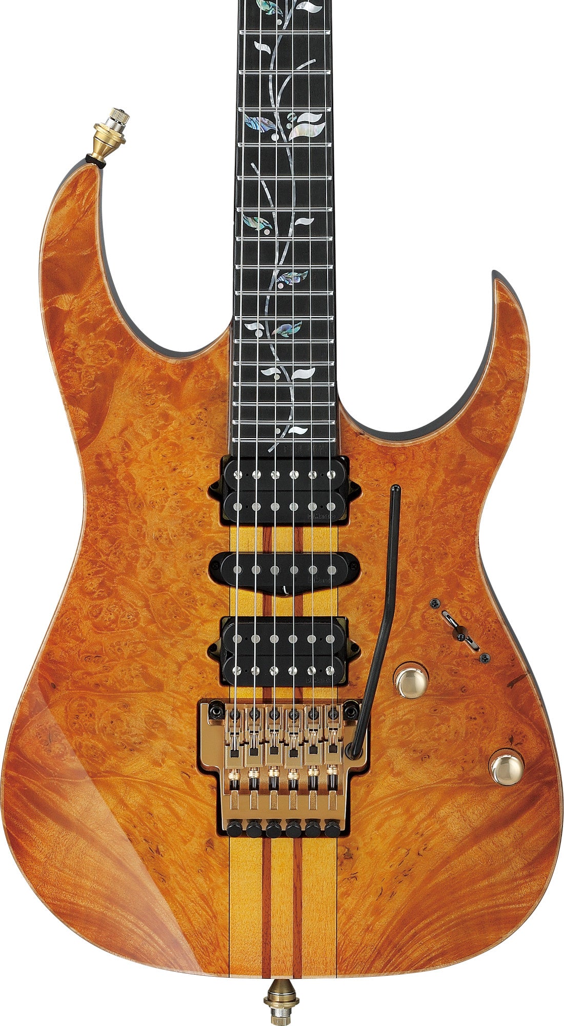 IBANEZ Visions RG E-Gitarre 6-String + Koffer