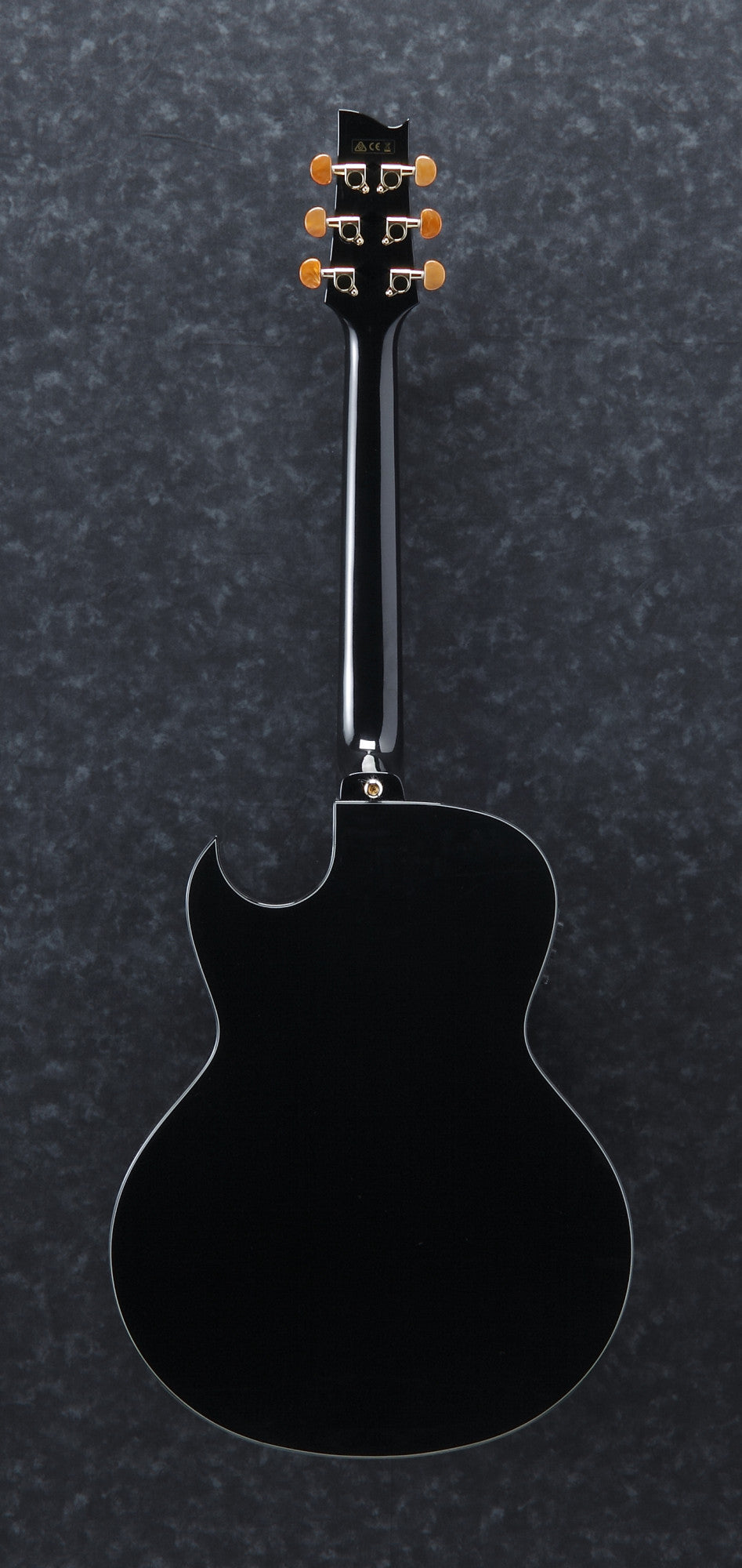 IBANEZ Steve Vai Signature Akustikgitarre 6-String - Black Pearl