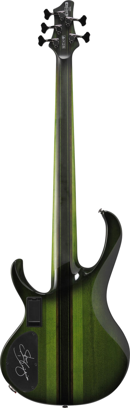 IBANEZ Steve Di Giorgio Signature E-Bass 5-String Fretless - Dark Moss Burst